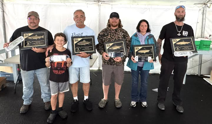 Big Fish winners 2025